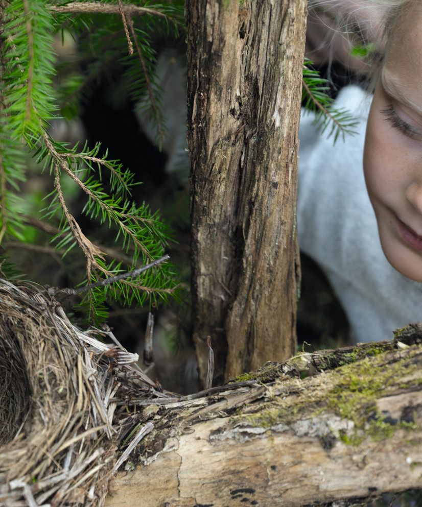 Fra boka Naturen og oss. Foto: Arne Nævra