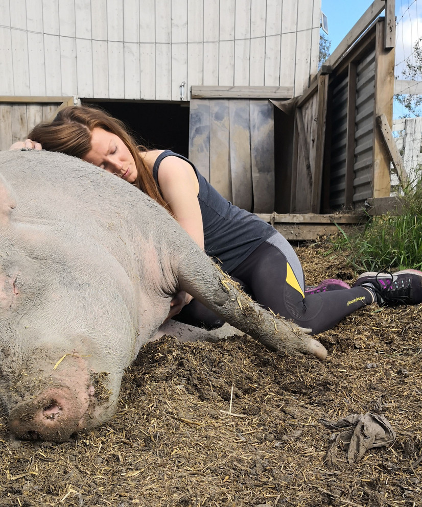 Etter undercover var Haugen redd for å bli glad i griser igjen. Å være sammen med Maja på Dale store gård hjalp henne til å tørre å kjenne på følelser. FOTO: PRIVAT