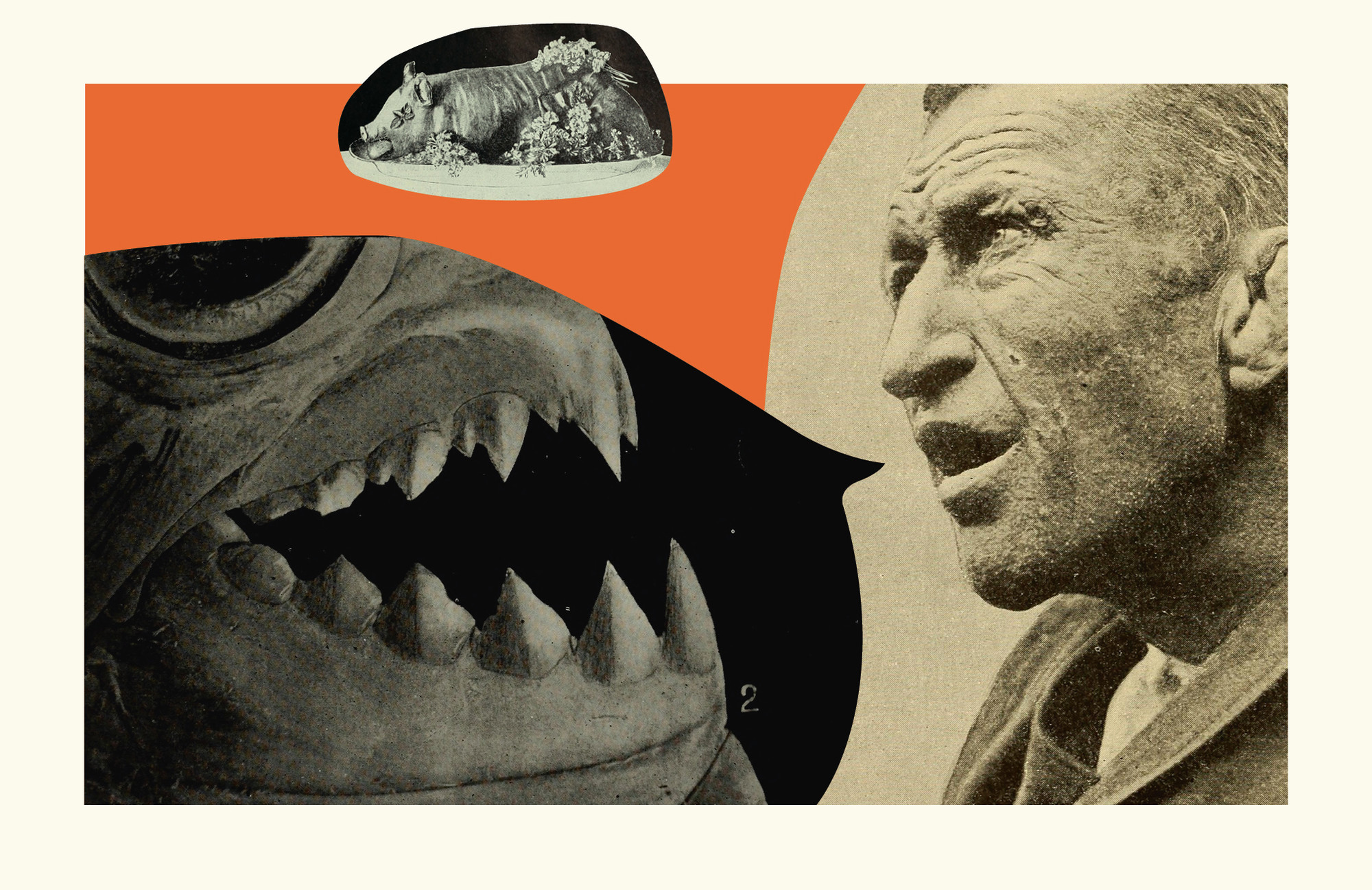 Kollage av Johanne Hjorthol