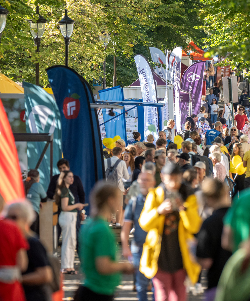 Valgboder i Spikersuppa før kommunevalget 2023. Foto: NTB / Heiko Junge